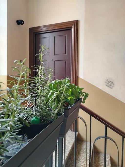 Bnb Citylifers Milano Exteriör bild